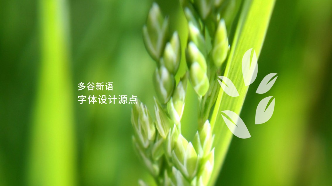 五谷雜糧LOGO設計,食品電商VI設計